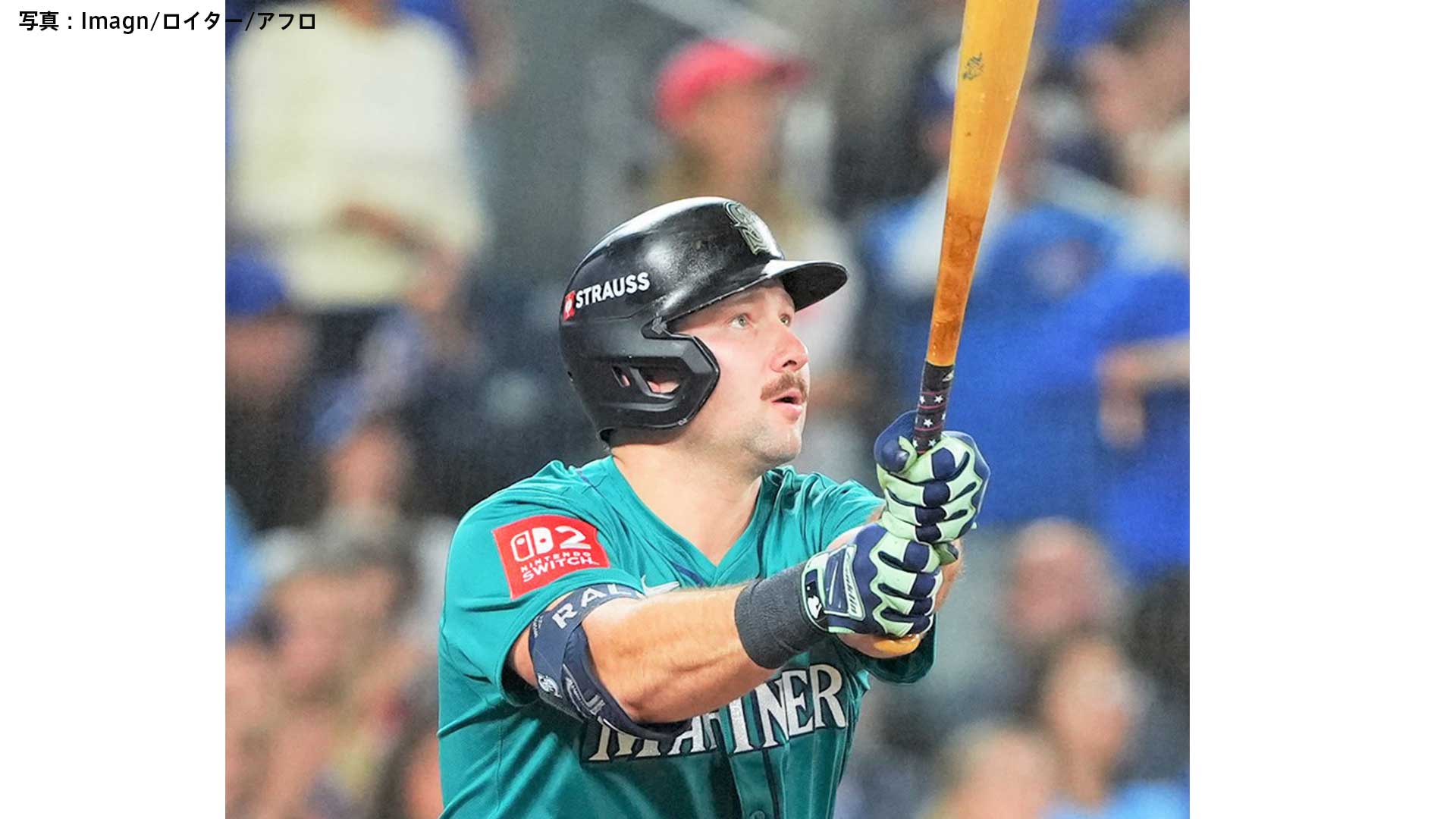 【早い者勝ち】FELLOW メンズ 170前後 MLB セミドライ フル 3ミリ 早い者勝ち】FELLOW メンズ 170前後 MLB セミドライ フル 3ミリ