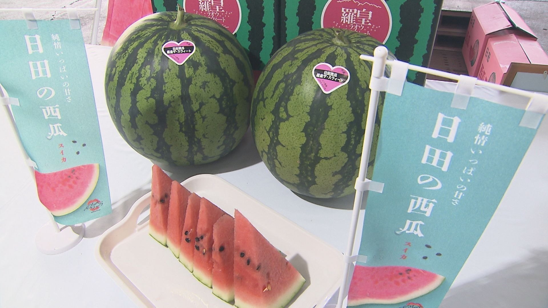 夏の味覚シーズン到来 日田西瓜の旬入り宣言 | TBS NEWS DIG