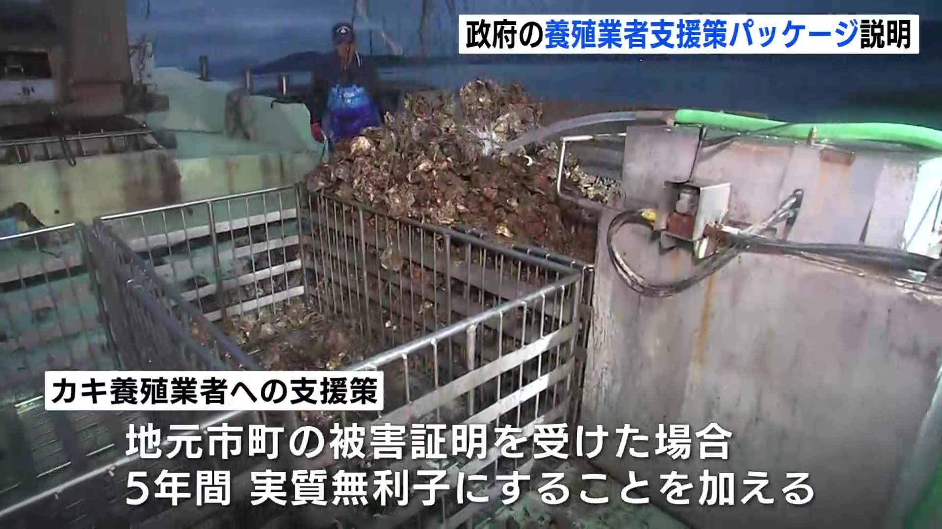 5年間の実質無利子融資など 政府のカキ養殖業者への支援パッケージ
