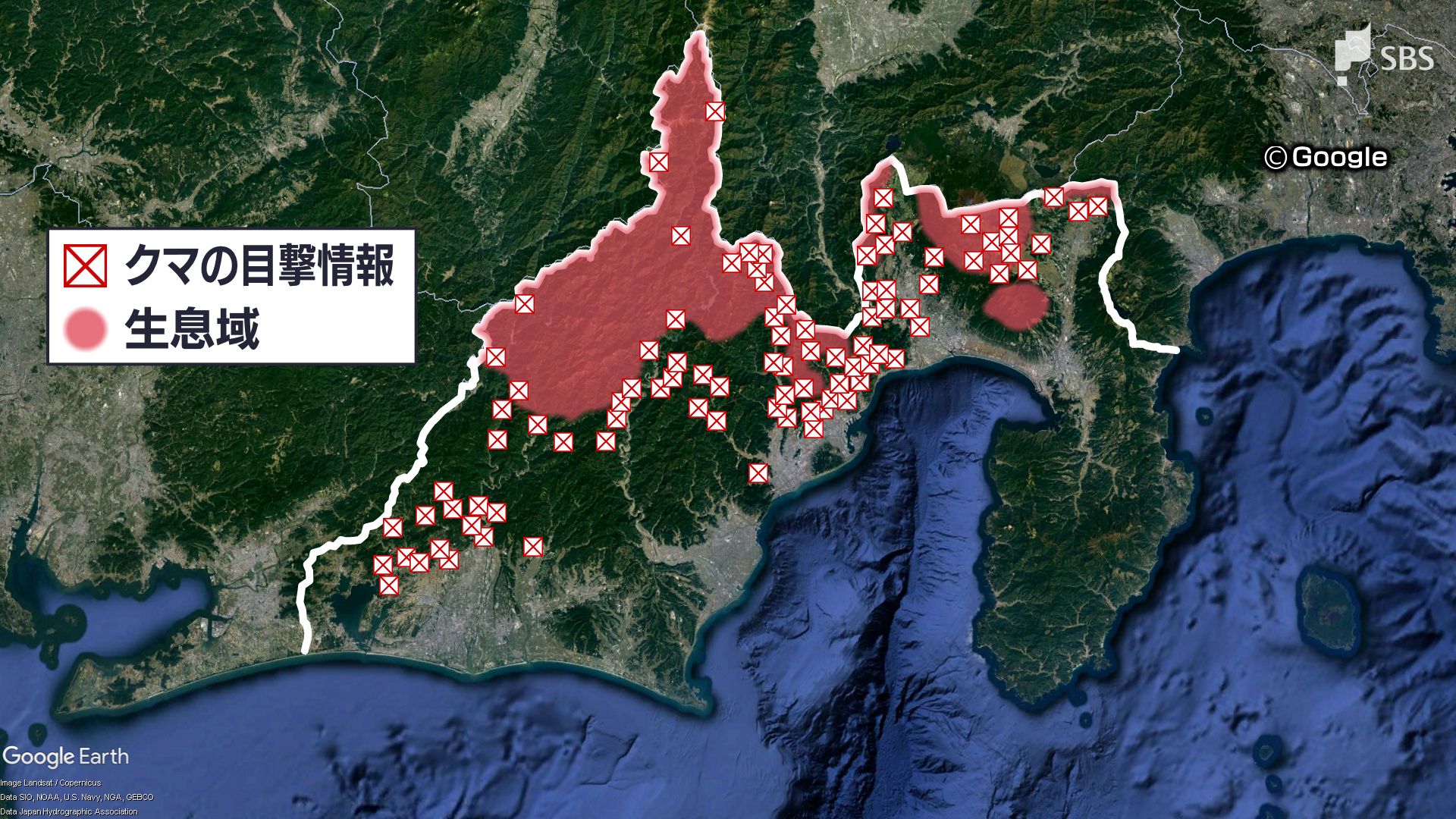 命が危なくても銃を持てない」クマ出没最多 猟友会が直面する“法の壁