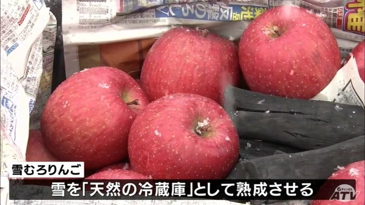 天然の冷蔵庫」でみずみずしく甘く熟成「雪むろりんご」 地元中学の