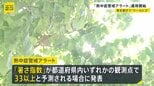 「熱中症警戒アラート」「特別警戒アラート」運用開始　都庁では“クールビズ”の職員も|TBS NEWS DIG