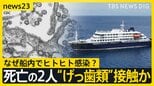 【ハンタウイルスでWHO会見】5人感染・3人感染疑い確認 「公衆衛生上のリスクは低い」なぜ船内でヒトヒト感染？死亡の2人“げっ歯類”に接触か【news23】|TBS NEWS DIG