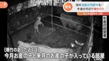 暗闇の牛舎に突然の爆竹!“卑劣な行為”に憤り 出産間近の牛は「流産の危険」も|TBS NEWS DIG
