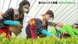 菊川市 ハウス茶園で新茶初摘み会(静岡県) | 静岡のニュース | SBSNEWS | 静岡放送