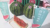 夏の味覚シーズン到来 日田西瓜の旬入り宣言 | 大分のニュース|OBS NEWS|大分放送