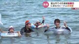 熱中症で11人搬送「熱中症警戒アラート」4日連続猛暑日 海水浴場はにぎわう 富山 |TBS NEWS DIG
