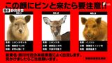高速道路で人や動物をはねたら…どうすべき？まずは安全確保と通報を！動物の場合も警察への届け出義務が【警察に聞いてみた】　|　静岡のニュース | SBSNEWS | 静岡放送