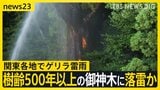 樹齢500年以上の御神木落雷で焼けたか 関東各地でゲリラ雷雨 東京都心では“最も遅い”猛暑日に 彼岸花咲かず 彼岸花祭り会場も閑散【news23】|TBS NEWS DIG