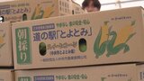 トウモロコシ1万本が1時間で完売! 山梨県中央市で販売フェア|TBS NEWS DIG