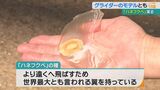 グライダーのモデルとも言われる“翼を持つ種子”ハネフクベ 熱帯ドリームセンターで2年連続実る |TBS NEWS DIG