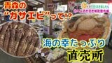 青森で“ガサエビ”と言えば?花見に欠かせない春の味覚にレアなホタテの刺身!海の幸たっぷりの直売所【朝イチ行ってきました】青森・野辺地町 | 青森のニュース│ATV NEWS│青森テレビ