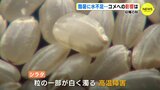 収穫の秋も酷暑に水不足…　コメへの影響は 「ほ場も悲鳴」「水管理に苦労」　|　RCC NEWS | 広島ニュース | RCC中国放送