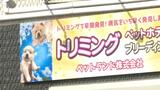 獣医師でないのにワクチン接種したか 自称・会社役員の女を獣医師法違反容疑で逮捕 | 愛媛のニュース - Nスタえひめ|あいテレビは6チャンネル