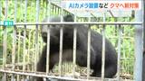 今年も懸念されるクマ被害 AIカメラを用いた細やかな情報提供などの新対策を実施 新潟県|TBS NEWS DIG