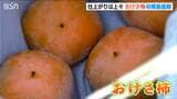 佐渡の秋の味覚『おけさ柿』収穫最盛期 9月以降は雨に恵まれ糖度も十分高く | 新潟のニュース・天気|BSN NEWS|BSN新潟放送