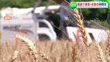 「今こそ国産小麦!」輸入小麦の価格高騰の中、県産小麦・米粉使用のうどん・パン・洋菓子を試食【岡山】|TBS NEWS DIG