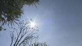 残暑厳しく梁川38.4℃、福島37.1℃ 福島県内各地で猛暑日続く | 福島のニュース│TUF