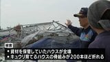 台風10号の突風で被災 宮崎市佐土原町の農業施設を知事が視察 | MRTニュース | MRT宮崎放送