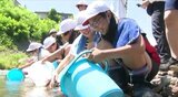 「初めての経験だったから緊張しました…」間もなく友釣りシーズン解禁へ…小学校5，6年生がアユの稚魚の放流を体験、1か月で20～25センチほどに成長　|　SBC NEWS | 長野のニュース | SBC信越放送