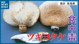 判別できないキノコは「採らない」「食べない」「人にあげない」ツキヨタケで今秋初の食中毒 新潟県が注意報発令 | 新潟のニュース・天気|BSN NEWS|BSN新潟放送