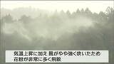 “かすむ景色”　花粉が「大量飛散」　宮城・登米市　tbc気象台|TBS NEWS DIG