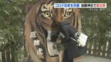 【虎の口】をくぐって厄ばらい　加藤神社の節分祭（熊本）|TBS NEWS DIG