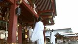 八幡宮で新年を迎える準備 1年分のほこりを払い清める「すす払い」始まる 盛岡市|TBS NEWS DIG