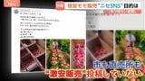 「旬のモモが12個で800円」SNSに“激安販売”投稿相次ぐ 農家や直売所になりすます“悪質行為”132万円だまし取られる詐欺被害も|TBS NEWS DIG