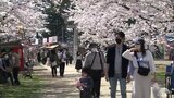 「笑顔に包まれたまつりに」日本一の桜の名所　4年ぶりに花見宴会解禁決定　青森・弘前市|TBS NEWS DIG