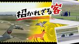 きょうも「滑走路閉鎖」福岡空港に３日連続で“鳥”や“キツネ”などの招かれざる訪問客～運営会社「いい対策を教えて」　|　福岡のニュース｜RKB NEWS｜RKB毎日放送