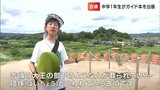 ”墳活(ふんかつ)”に励む中学1年生「古墳めぐりすと・はにおくん」(岡山市在住)が出版した『岡山100名墳』好調な売れ行き|TBS NEWS DIG