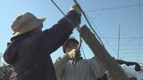 コンクリート杭と針金の甲州式ぶどう棚　修繕知識や技術ある農家が減少　倒壊しないよう正しく修繕するための研修会を初めて開く　甲府市　|　山梨のニュース | ＵＴＹテレビ山梨