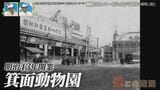 大阪にある温泉レジャー施設には「動物園」があった!古びた「神社」も発見…敷地内の“廃道”から見る歴史 | 名古屋・愛知・岐阜・三重のニュース【CBC news】 | CBC web