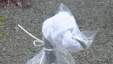 水道管凍結の防止策 一晩中、水を出しっぱなしにすると水道料金は?今季“最強寒波”到来の見込み | 愛媛のニュース - Nスタえひめ|あいテレビは6チャンネル