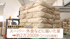 備蓄米がスーパー・外食などにたどり着いたのは全体の10％程度　国民が1日程度で食べるコメの量にとどまる| TBS CROSS DIG with Bloomberg
