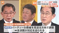 【異例】総理が“パーティー自粛”を要請　幹部が緊急会談「強い危機感」　閣僚経験者「やるべきことは自粛要請ではなく…」| TBS CROSS DIG with Bloomberg