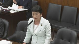 アメリカのイラン攻撃にも武器輸出可能？ 防衛装備移転三原則の運用指針改定で野党が追及| TBS CROSS DIG with Bloomberg