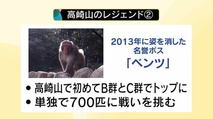 さる ご検討分 新リーダーは還暦オスザルのナルト「頭の毛が渦巻いててかわいい」高崎