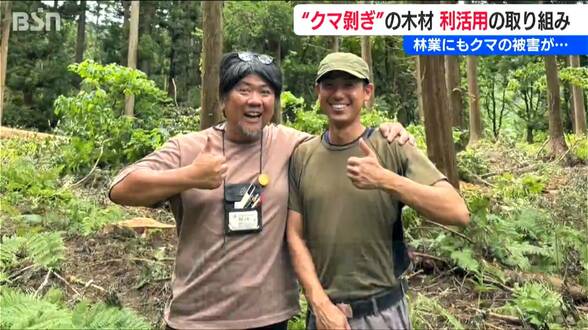 林業にもクマの影響「砕いて燃やすしかなかった」“クマ剥ぎ”された被害材から透けて見える『里山の重要性』新潟・関川村 | 新潟のニュース・天気|BSN NEWS|BSN新潟放送