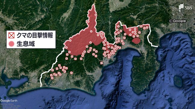 「命が危なくても銃を持てない」クマ出没最多 猟友会が直面する“法の壁”と見回りは「丸腰」の矛盾【現場から、】 | 静岡のニュース | SBSNEWS | 静岡放送