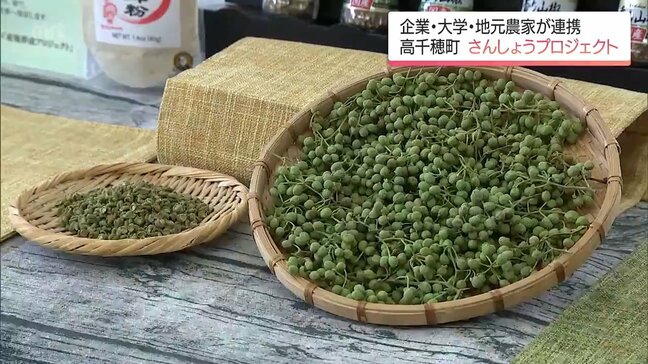 「さんしょう」のブランド化へ　高千穂町で大学・大手メーカー・生産者がプロジェクト進める|TBS NEWS DIG
