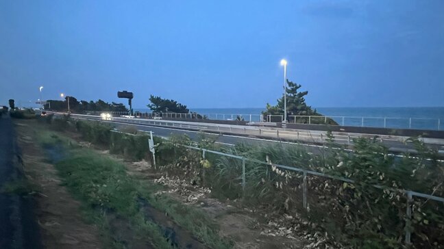 「高速道路を子どもが歩いている」11歳男児 自動車専用道路で乗用車にひかれ顔と足の骨を折るけが 警察 男子が道路に入った経緯など調べる 神奈川・小田原市|TBS NEWS DIG