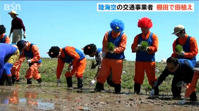鬼のパンツに鬼のツノ…陸海空の交通事業者が集まり田植えに汗 新潟・佐渡市|TBS NEWS DIG