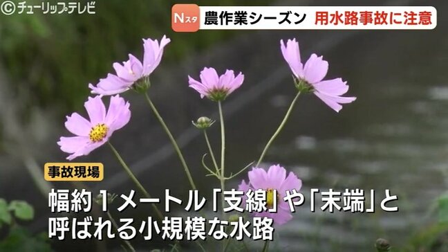 高齢者の農業用水路転落事故　現場の多くが“支線”や“末端”と生活な身近な場所…事故防止の強化期間20日から始まる|TBS NEWS DIG