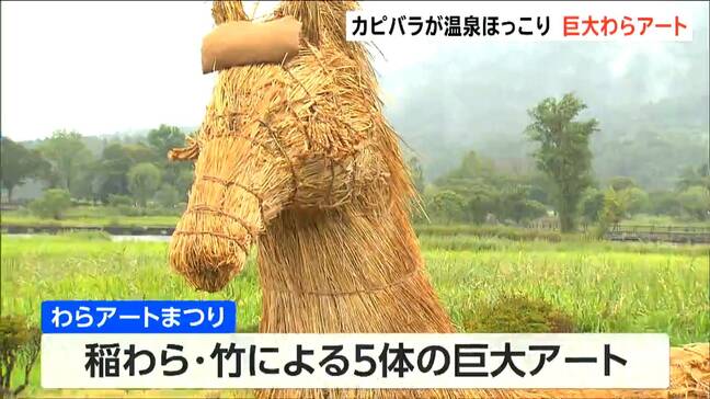 稲わらアートの“カピパラ”温泉でほっこり! テーマは「ぽかぽか温泉会議~湿地の動物大集合!~」 わらアートまつり開幕 新潟・西蒲区|TBS NEWS DIG