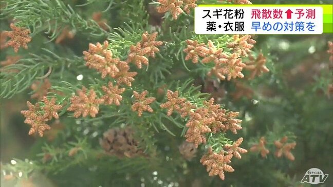 “国民病”ともされている「花粉症」　2026年のスギ花粉の飛散量は例年よりも多くなると予想　「早めの治療が一番大事」対策どうする？|TBS NEWS DIG