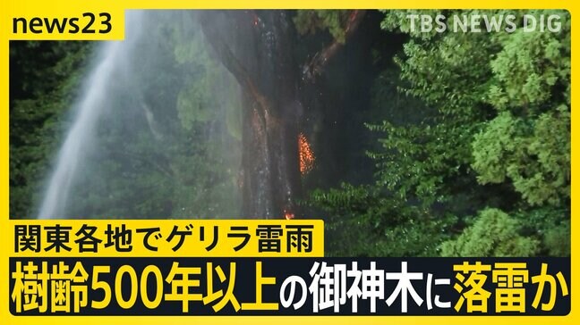 樹齢500年以上の御神木落雷で焼けたか 関東各地でゲリラ雷雨 東京都心では“最も遅い”猛暑日に 彼岸花咲かず 彼岸花祭り会場も閑散【news23】|TBS NEWS DIG