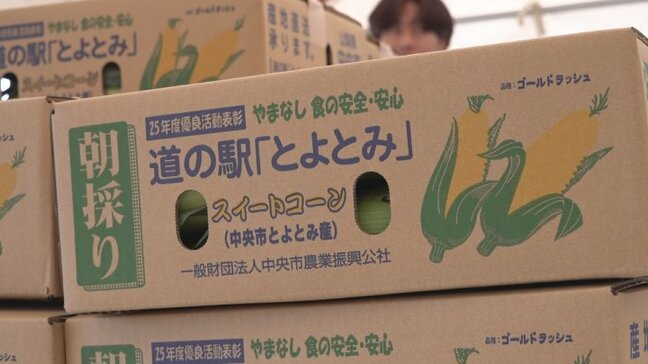 トウモロコシ１万本が１時間で完売！　山梨県中央市で販売フェア|TBS NEWS DIG
