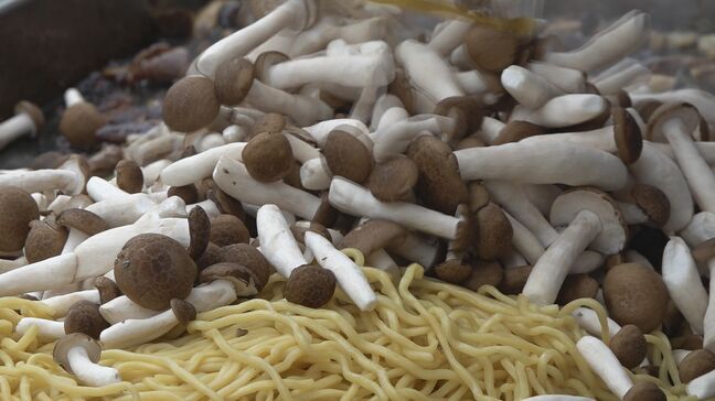 地震で被災し壊滅的な被害のブナシメジ工場 奇跡的に残った「菌」をもとに見事復活 詰め放題イベントに住民は笑顔|TBS NEWS DIG